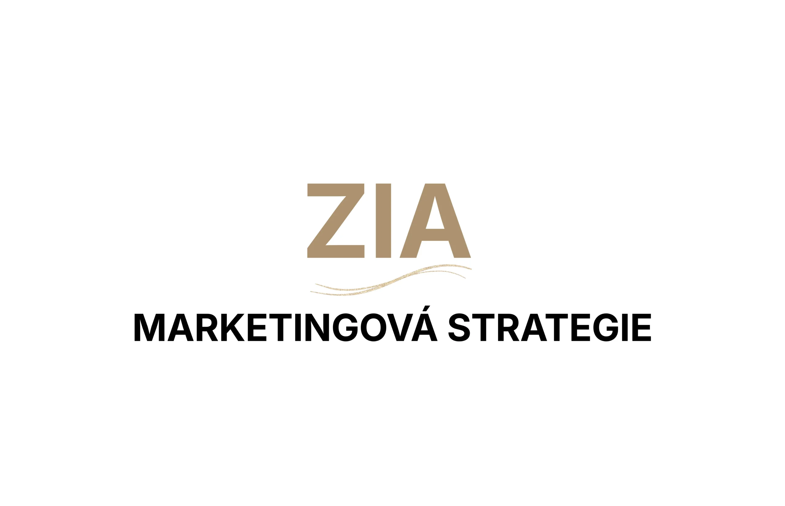 Jak marketingová strategie podporuje dlouhodobý růst firmy 1 Jak marketingová strategie podporuje dlouhodobý růst firmy