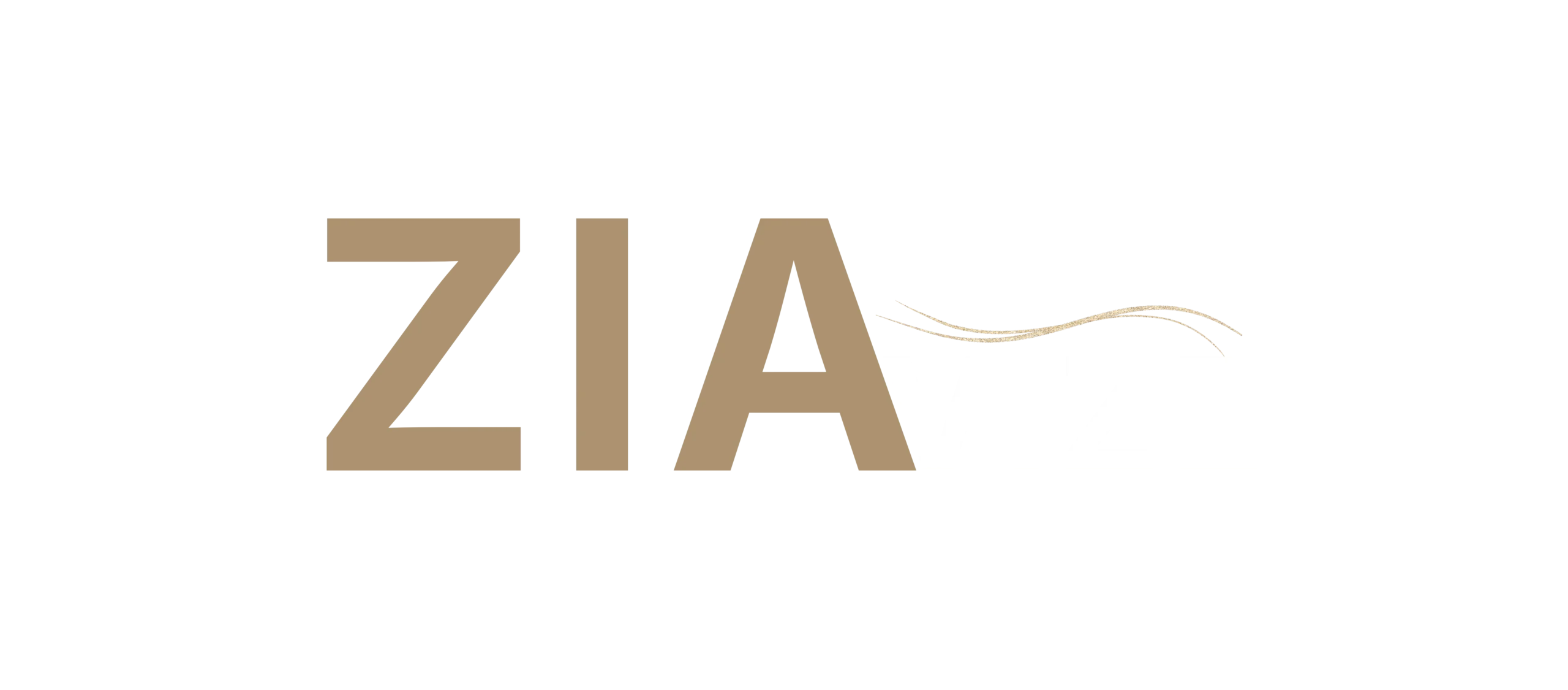 ZIAVIZE Business strategie, obchod a marketing