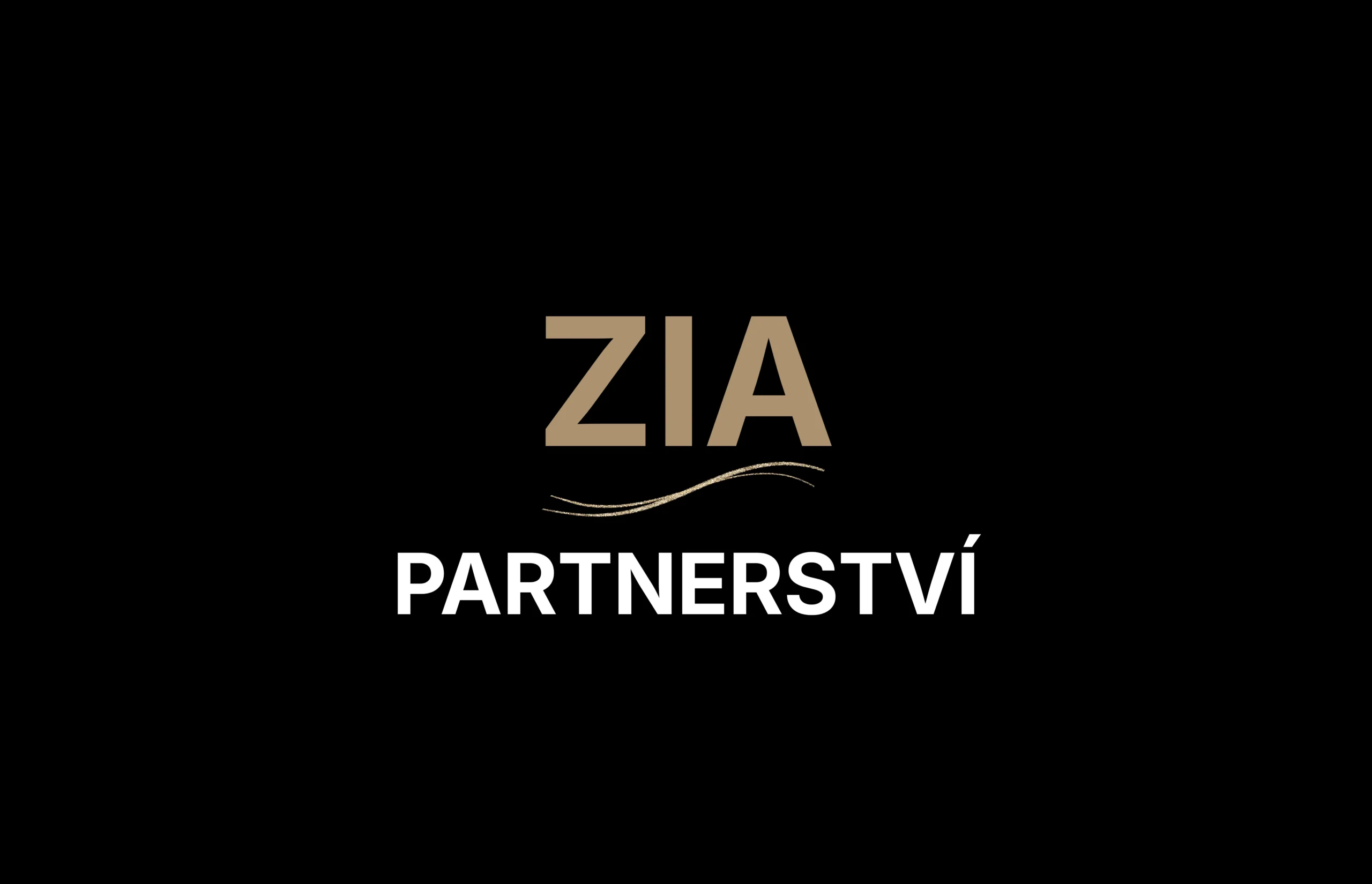 ZIA partnerství, spolupráce v obchodu a marketingu Brno, Praha, Celá ČR