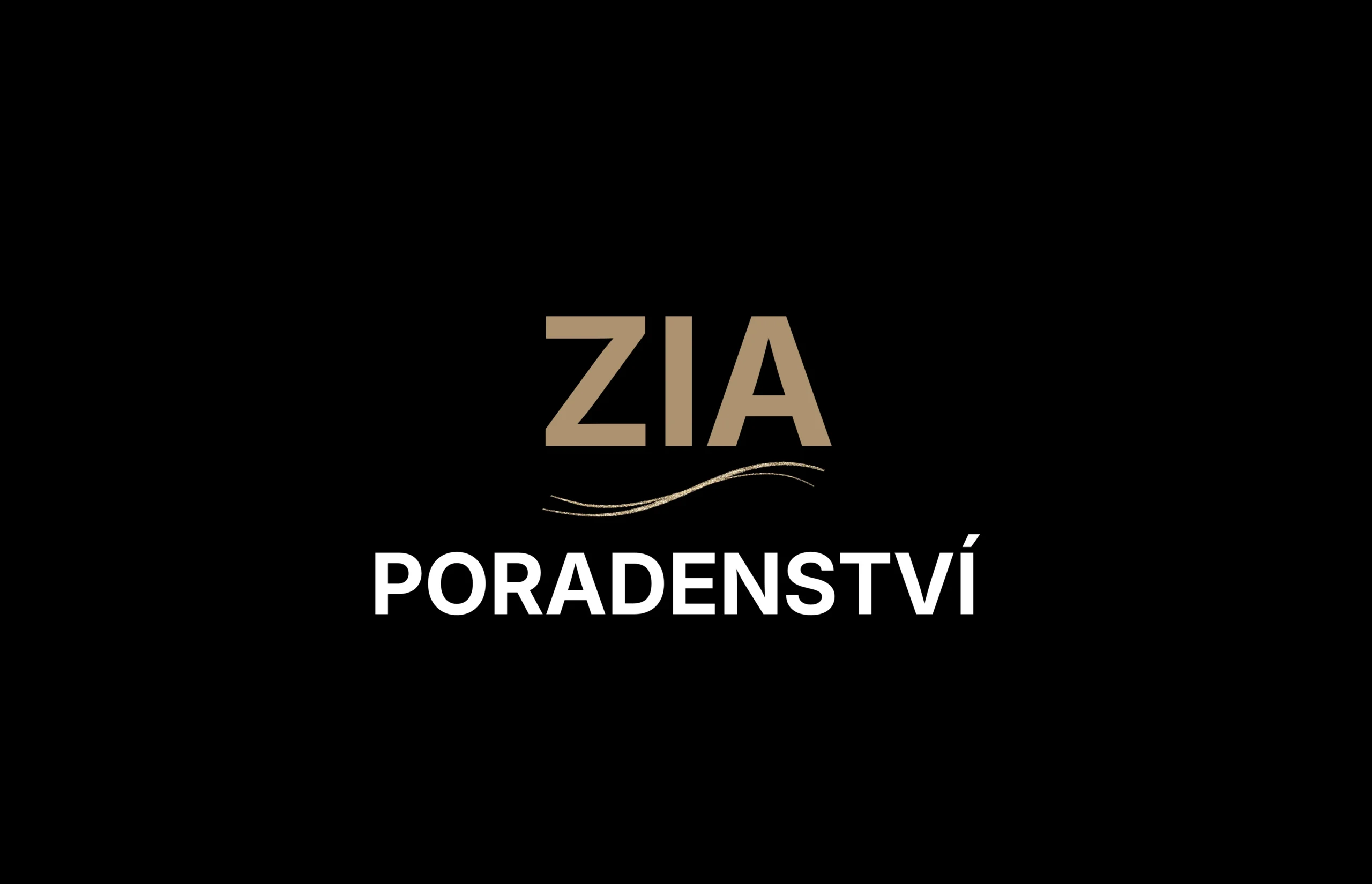 ZIA poradenství, obchodní a marketingové poradenství Brno, Praha, Celá ČR
