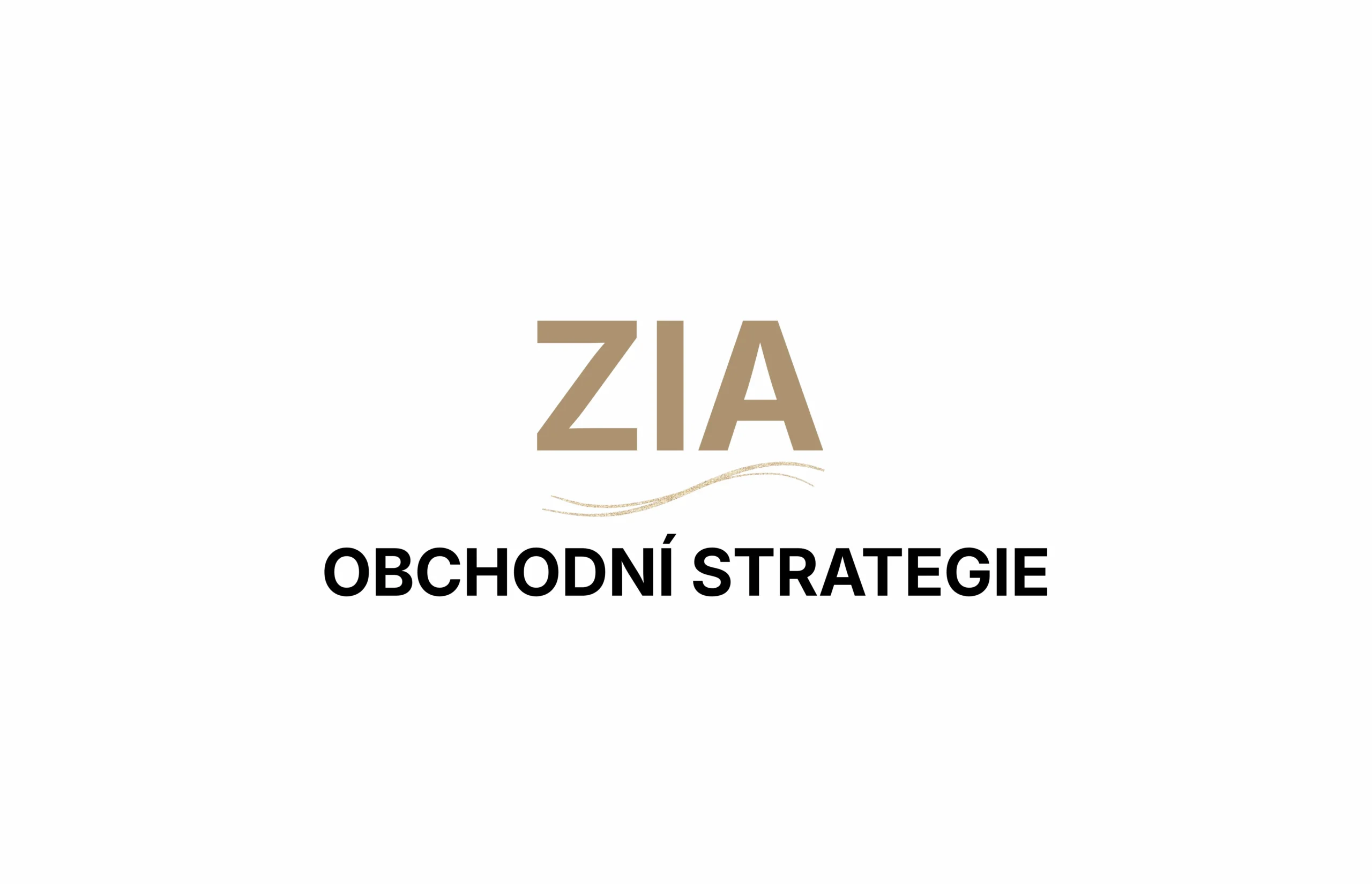 Obchodní strategie - Jak zvýšit efektivitu a výsledky obchodu?