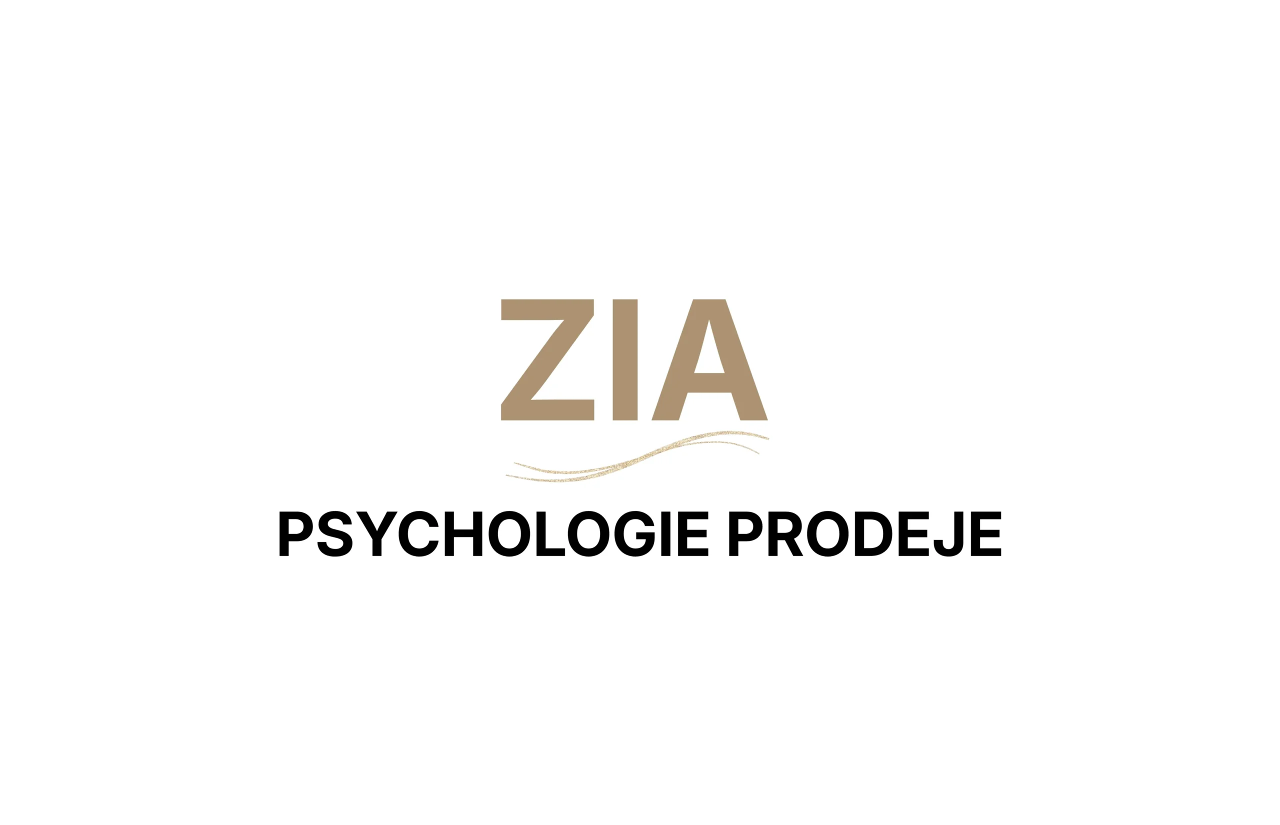 Psychologie prodeje a rozhodování zákazníka