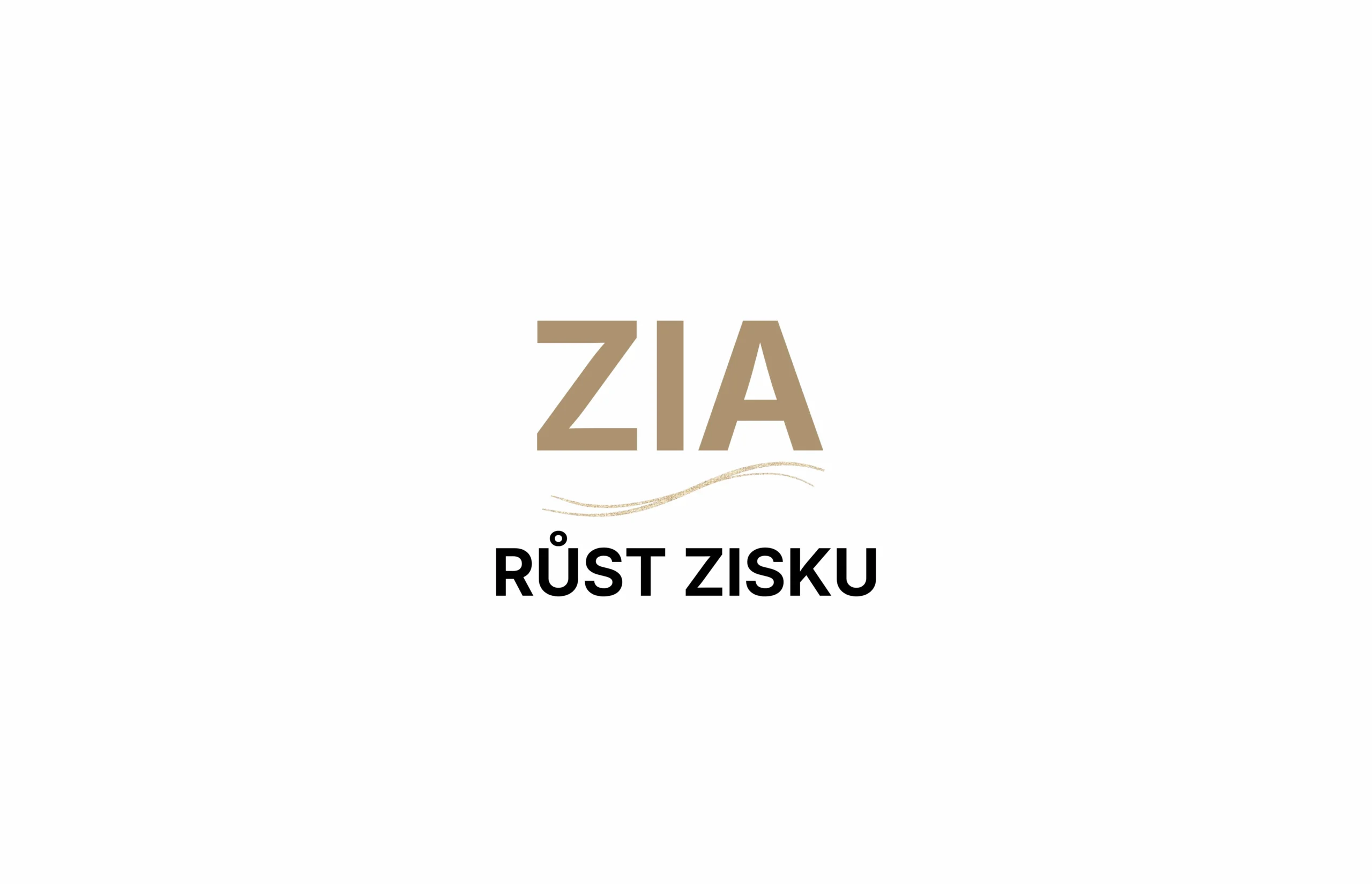 Proč firmě neroste zisk, i když roste obrat? 1 Proč firmě neroste zisk, i když roste obrat?