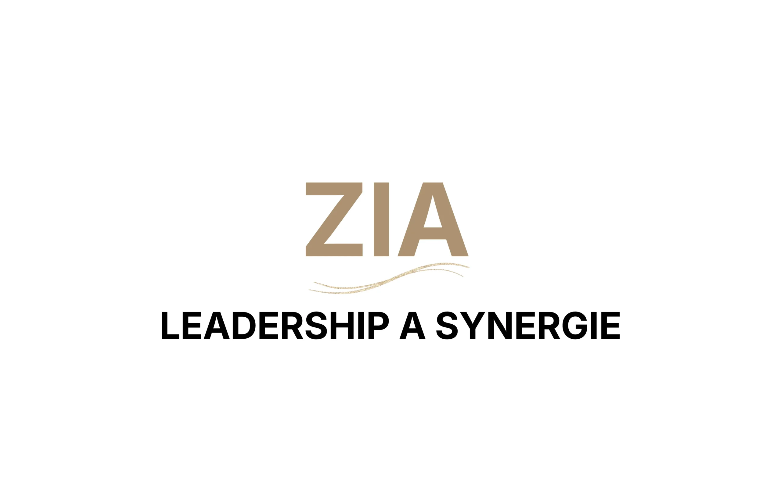 Leadership – pozitivní vedení lidí a synergie