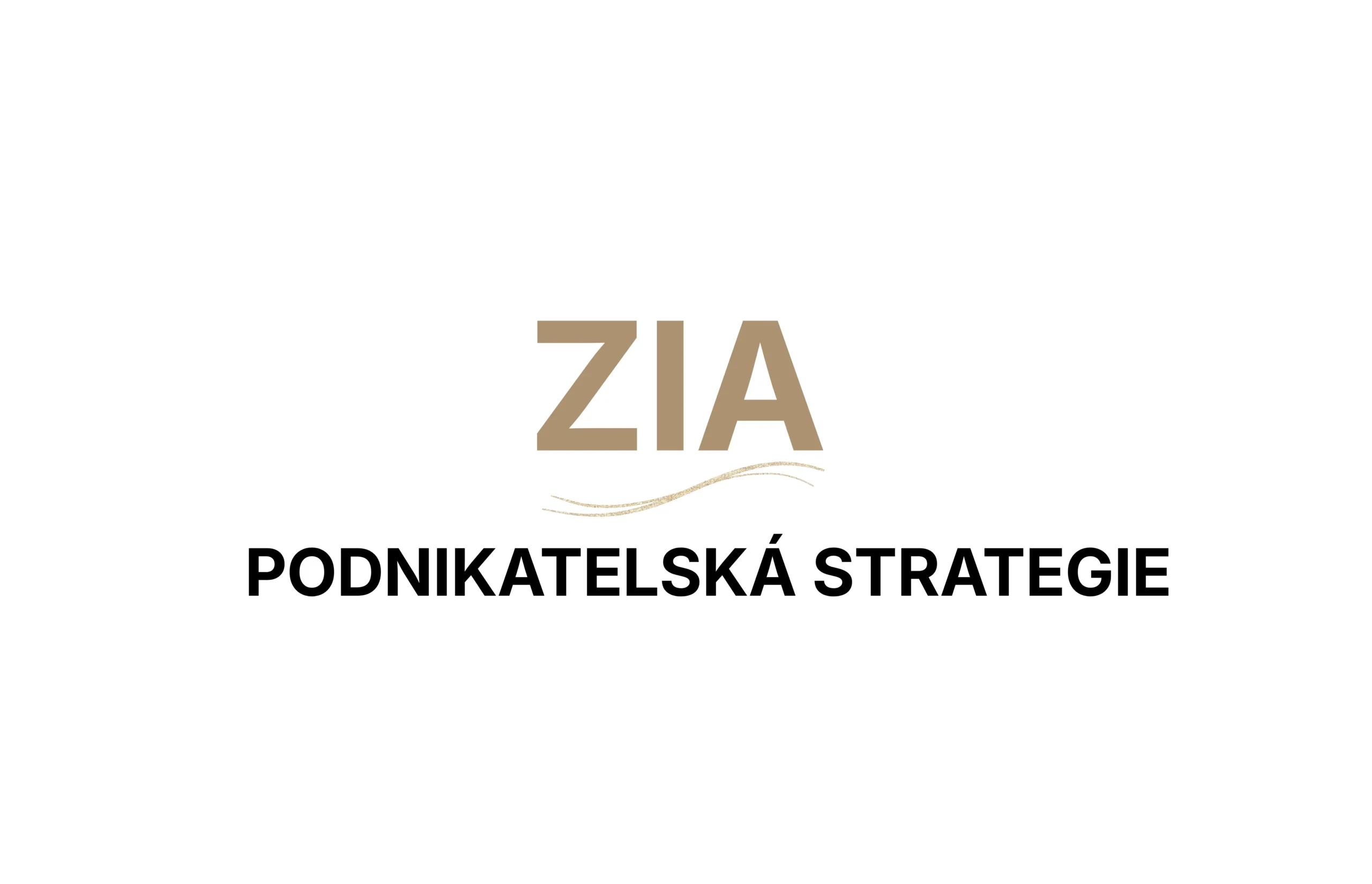 Podnikatelský plán a strategie