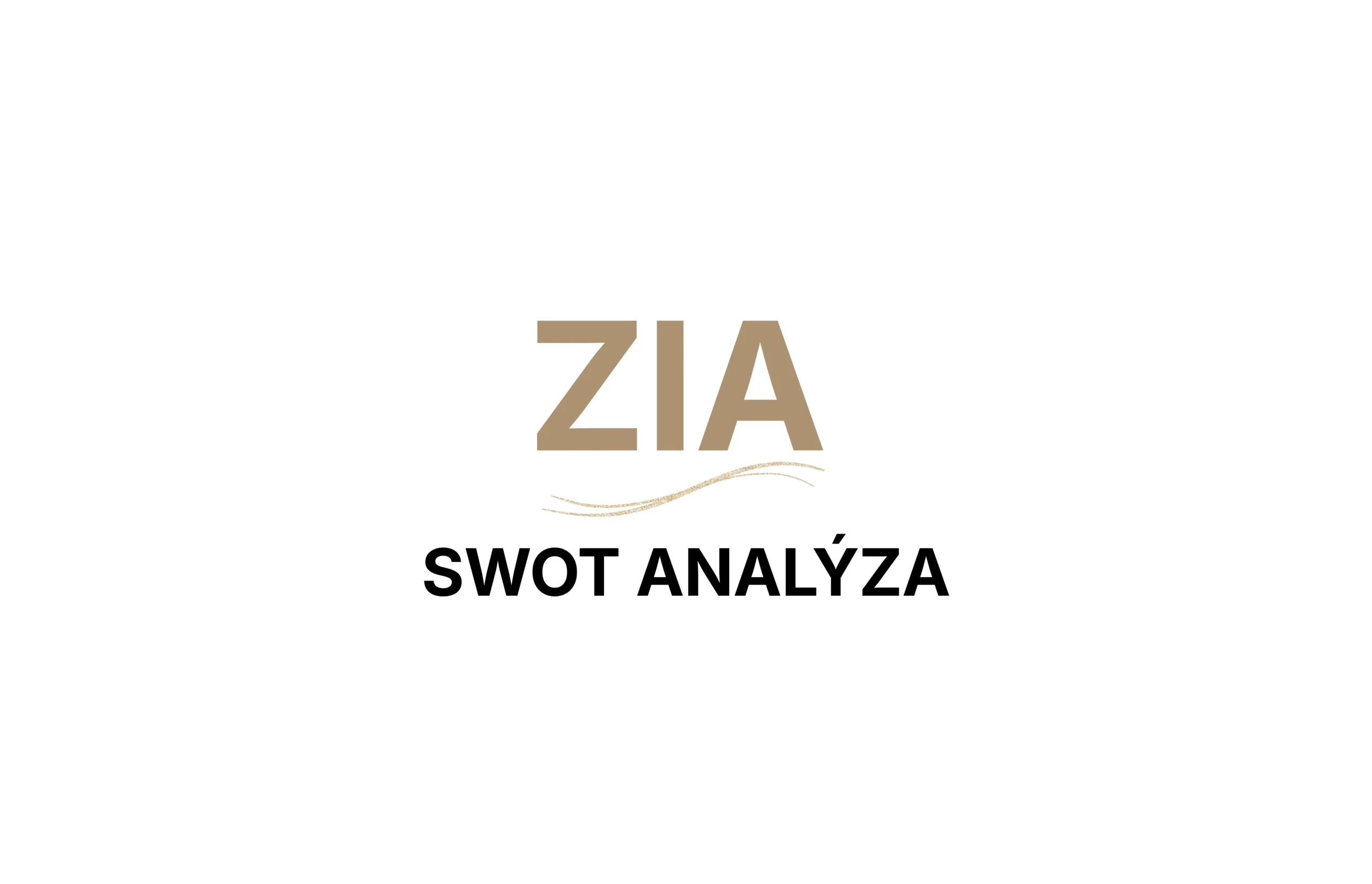 SWOT analýza a TOWS matice – od analýzy ke strategii 1 SWOT analýza, TOWS matice, od analýzy ke strategii