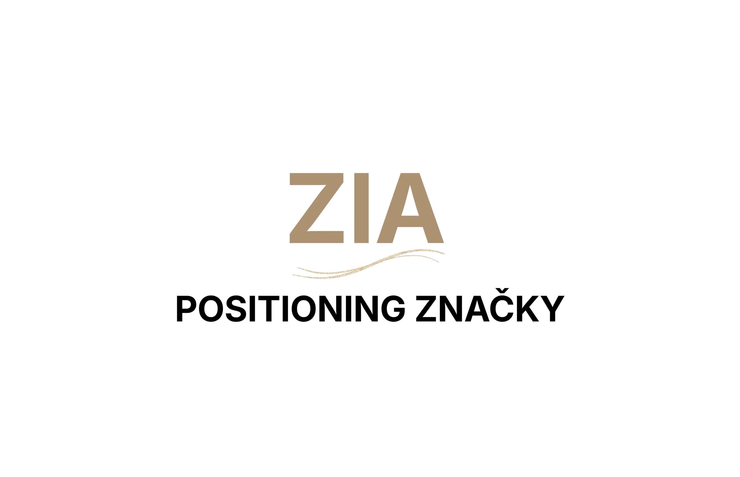Positioning značky (brand positioning)